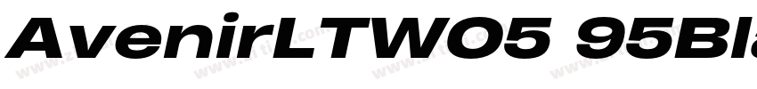 AvenirLTW05 95Black字体转换